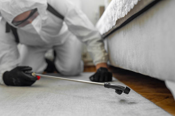 Professional Bed Bug Control technician working in Steuben County County, IN